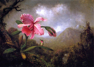  Martin Johnson Heade Orchid and Hummingbird near a Mountain Waterfall - Art Print