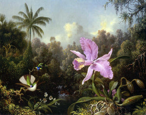  Martin Johnson Heade Orchid and Two Hummingburds - Art Print