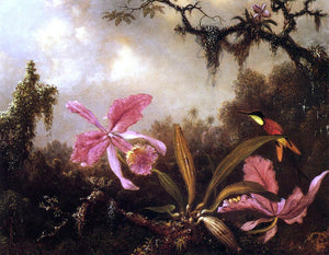  Martin Johnson Heade Orchids and Crimson Topaz Hummingbird - Art Print