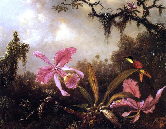  Martin Johnson Heade Orchids and Crimson Topaz Hummingbird - Art Print