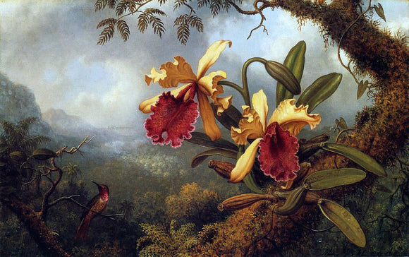  Martin Johnson Heade Orchids and Hummingbird - Art Print