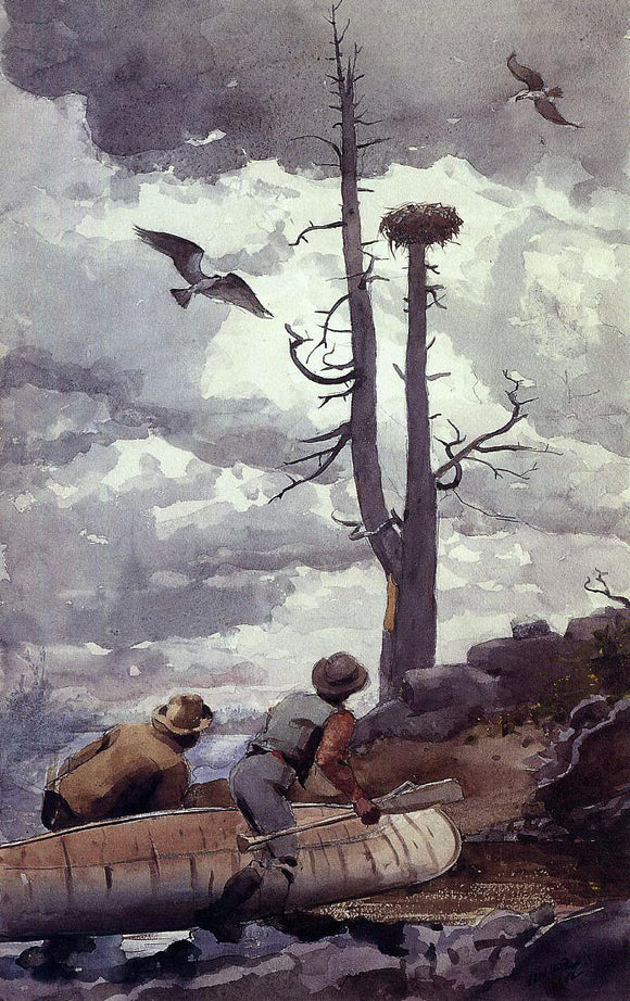  Winslow Homer Osprey's Nest - Art Print