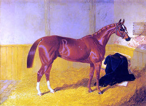  Sr. John Frederick Herring Our Nell, A Bay Racehorse in a Stable - Art Print