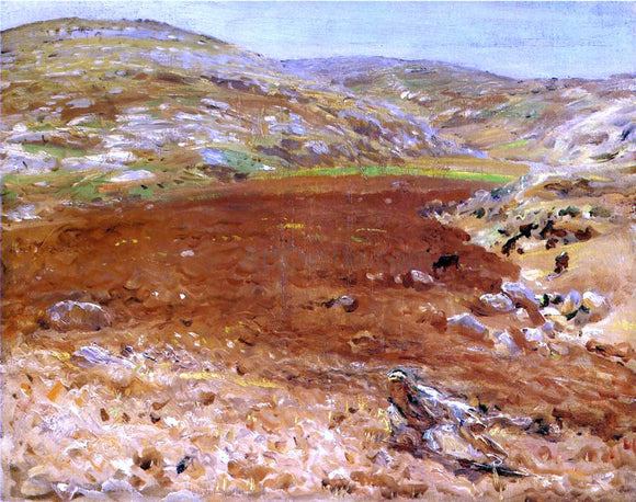  John Singer Sargent Palestine - Art Print