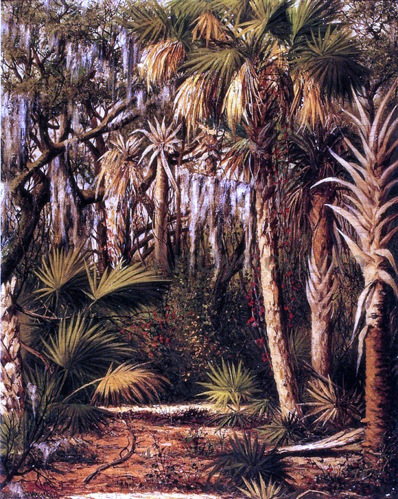  William Aiken Walker Palm Hammock with Epiphytes - Art Print