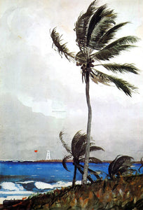  Winslow Homer Palm Tree, Nassau - Art Print