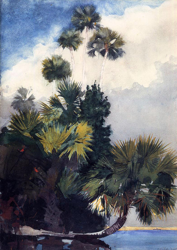  Winslow Homer Palm Trees, Florida - Art Print