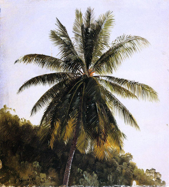  Frederic Edwin Church Palm Trees, West Indies - Art Print
