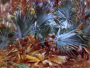  John Singer Sargent Palmettos - Art Print