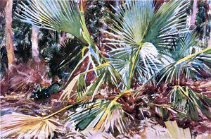  John Singer Sargent Palmettos, Florida - Art Print