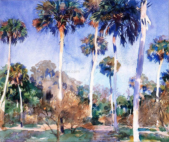  John Singer Sargent Palms - Art Print