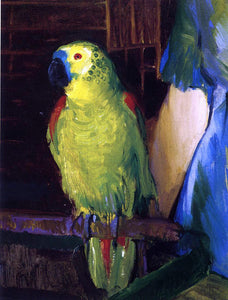  George Wesley Bellows A Parrot - Art Print