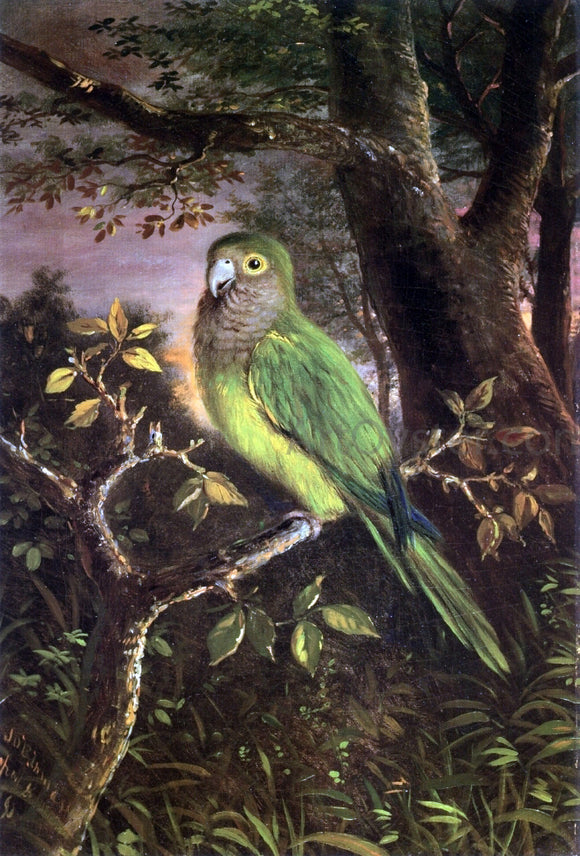  John OBrien Inman A Parrot on a Branch - Art Print