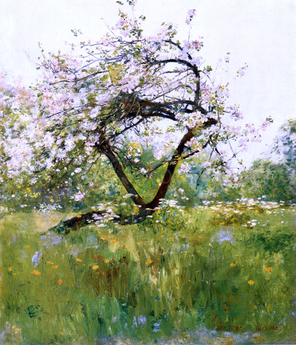  Frederick Childe Hassam Peach Blossoms - Villiers-le-Bel - Art Print