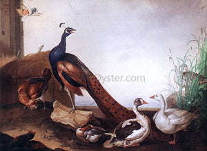 Jakab Bogdany Peacock with Geese and Hen - Art Print