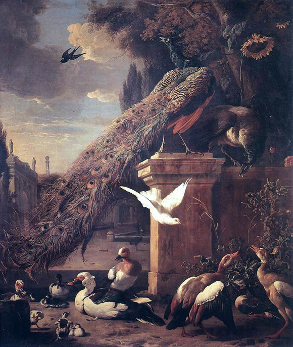  Melchior D'Hondecoeter Peacocks and Ducks - Art Print