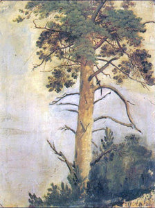  Ivan Ivanovich Shishkin Pine on Rock (etude) - Art Print