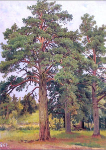  Ivan Ivanovich Shishkin Pine Without Sunshine (etude) - Art Print
