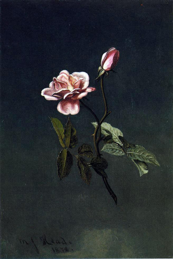  Martin Johnson Heade Pink Rose - Art Print