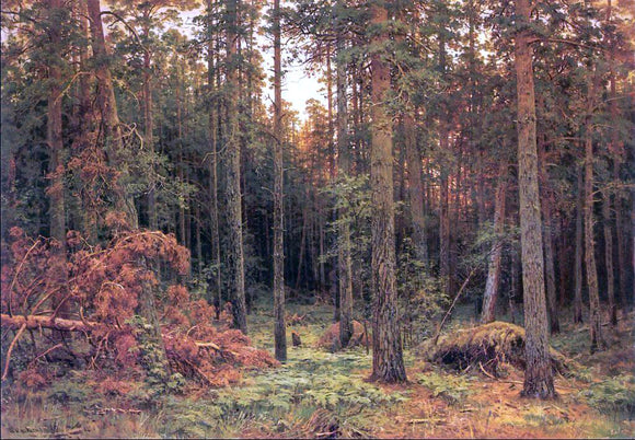  Ivan Ivanovich Shishkin Piny wood - Art Print