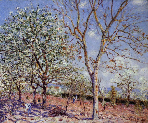  Alfred Sisley Plum and Walnut Trees in Spring - Art Print