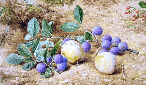  John William Hill Plums - Art Print