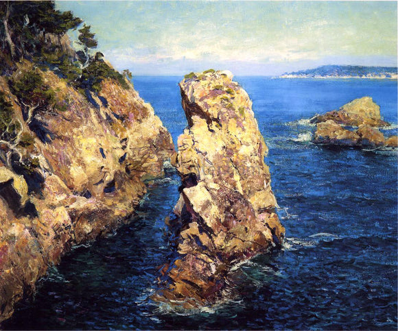  Guy Orlando Rose Point Lobos - Art Print