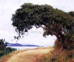  Guy Orlando Rose Point Lobos, Oak Tree - Art Print