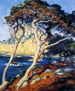  Guy Orlando Rose Point Lobos Trees - Art Print