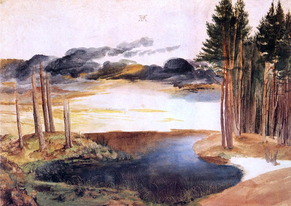 Albrecht Durer Pond in the Woods - Art Print