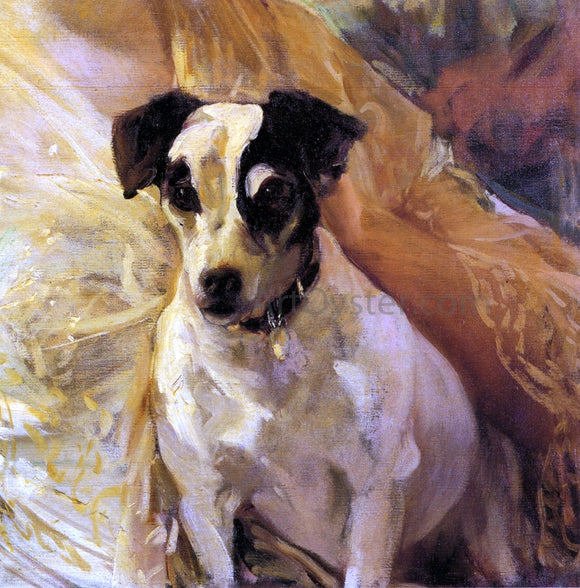  Joaquin Sorolla Y Bastida Portrait of a Jack Russell - Art Print