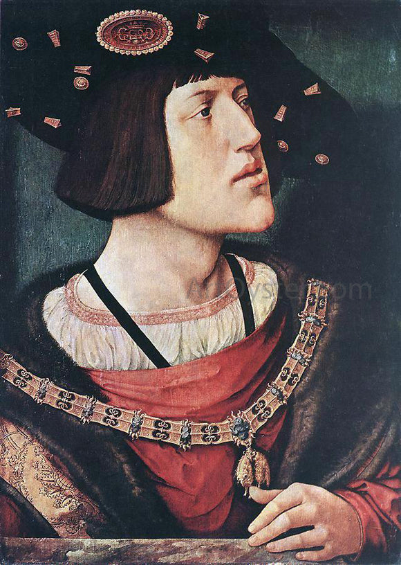  Bernaert Van Orley Portrait of Charles V - Art Print
