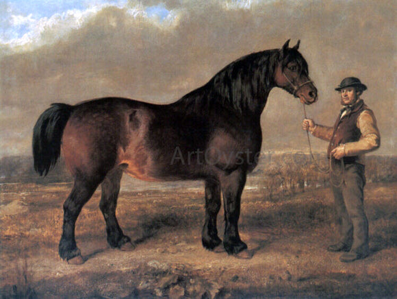  Gourlay Steell A Prize Clydesdale Mare - Art Print