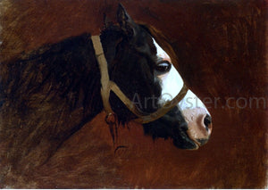  Jean-Leon Gerome Profile of a Horse - Art Print