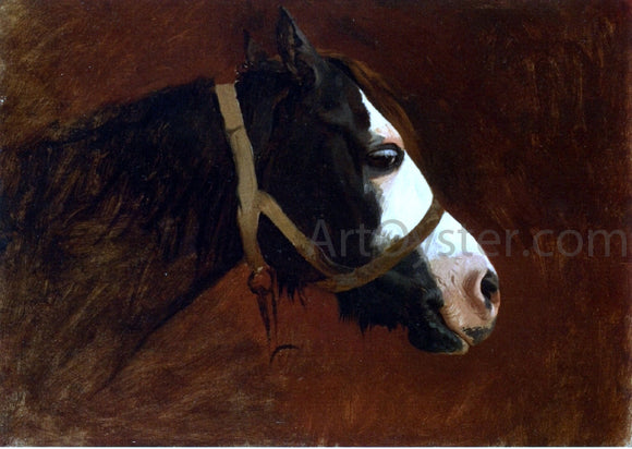  Jean-Leon Gerome Profile of a Horse - Art Print