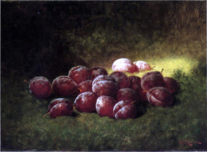  Carducius Plantagenet Ream Purple Plums - Art Print