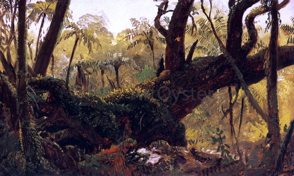  Frederic Edwin Church Rain Forest, Jamaica, West Indies - Art Print