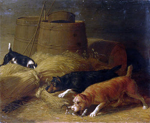  Thomas Hewes Hinckley Rats Amongst the Barley Sheaves - Art Print