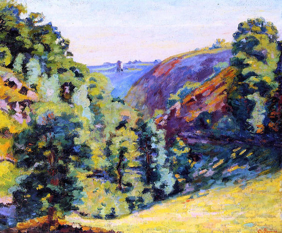  Armand Guillaumin Ravin de la Sadelle a la Follie - Art Print