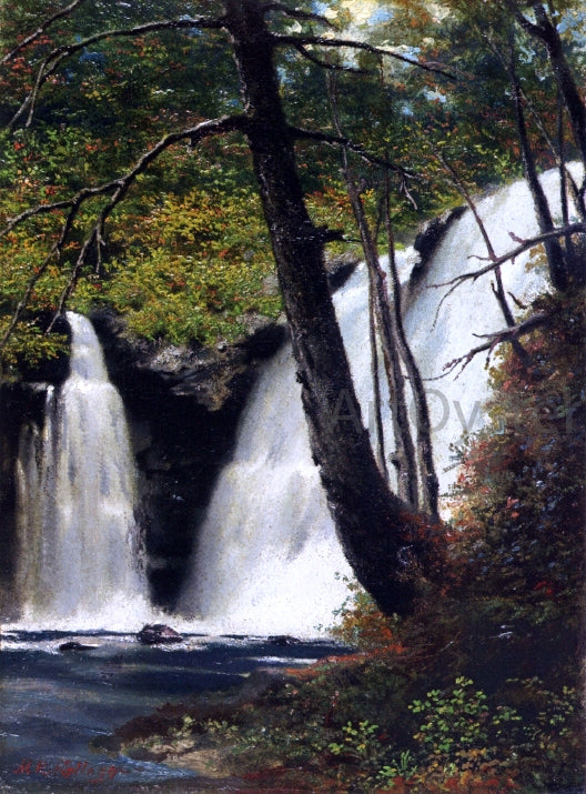  Miner Kilbourne Kellogg Raymondskill Falls, Pike County, Pennsylvania - Art Print