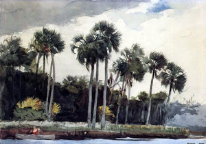  Winslow Homer Red Shirt, Homosassa, Florida - Art Print