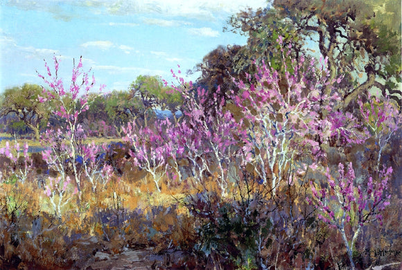  Julian Onderdonk Redbud Tree in Bloom at Leon Springs, San Antonio - Art Print