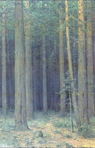  Ivan Ivanovich Shishkin Reserve, Pine Forest - Art Print