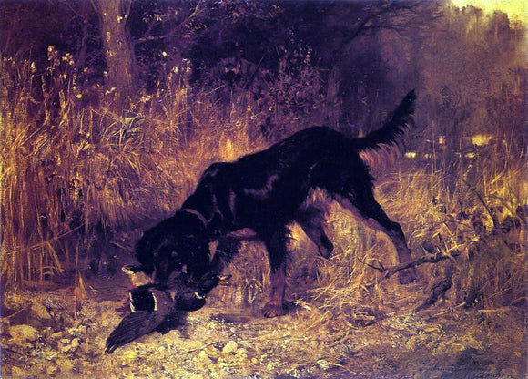  Josef Schmitzberger Retrieving a Mallard - Art Print