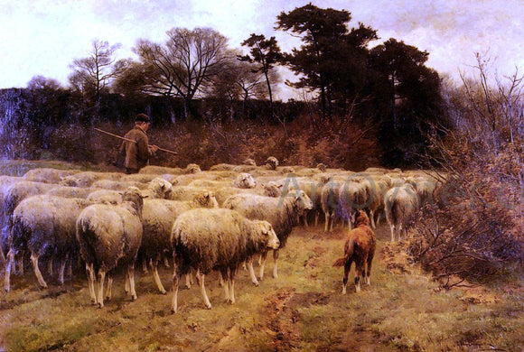  Cornelis Van Leemputten A Return of the Flock - Art Print