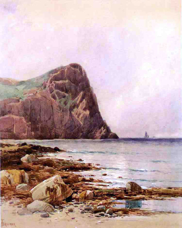  Alfred Thompson Bricher A Rocky Coast - Art Print