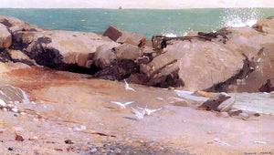  Winslow Homer Rocky Coast and Gulls - Art Print