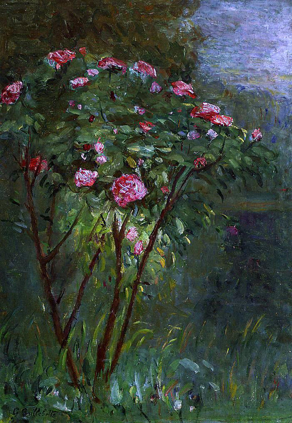  Gustave Caillebotte Rose Bush in Flower - Art Print