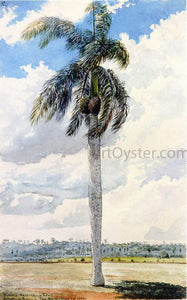  Charles De Wolf Brownell Royal Palm - Art Print