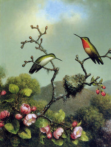  Martin Johnson Heade Ruby Throat of North America - Art Print
